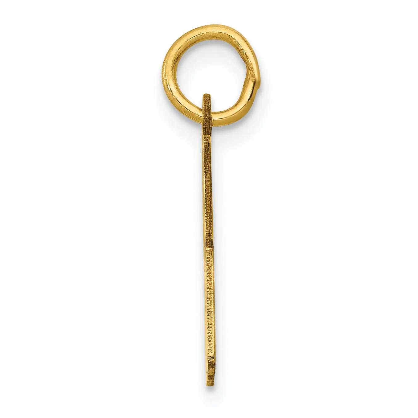 14K Gold Polished Elongated Charm with Laser-Cut Detailing Small