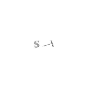 14kt White Gold CZ Initial S Stud Earrings