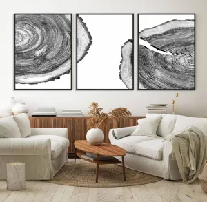 Abstract Large Tree Rings – Minimalist Black and White Wood Art | Triptych Canvas, Modern Wall Decor