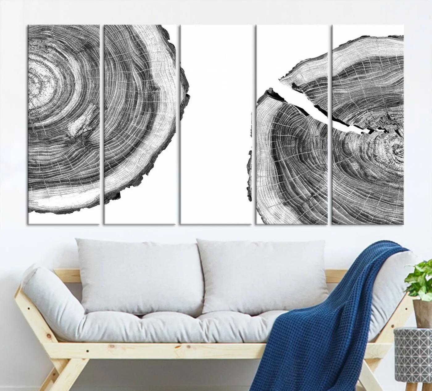 Abstract Large Tree Rings – Minimalist Black and White Wood Art | Triptych Canvas, Modern Wall Decor