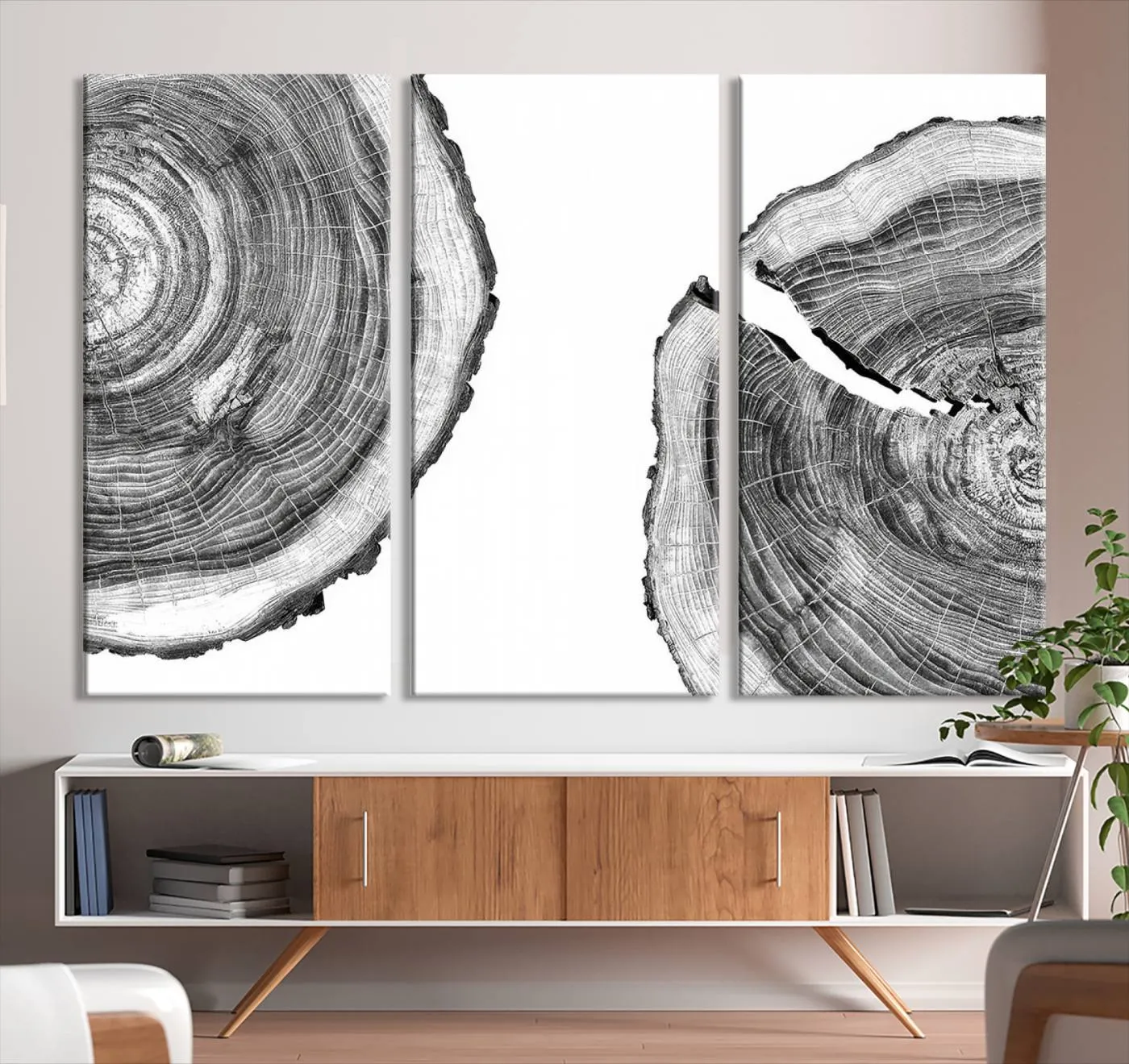 Abstract Large Tree Rings – Minimalist Black and White Wood Art | Triptych Canvas, Modern Wall Decor