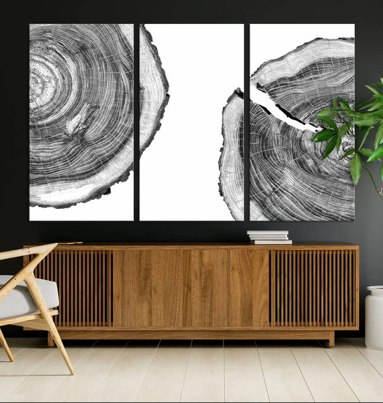 Abstract Large Tree Rings – Minimalist Black and White Wood Art | Triptych Canvas, Modern Wall Decor