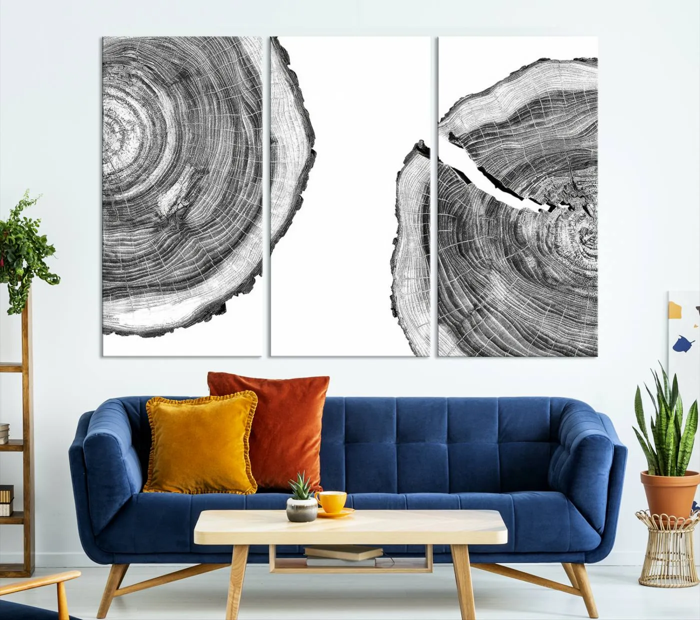 Abstract Large Tree Rings – Minimalist Black and White Wood Art | Triptych Canvas, Modern Wall Decor