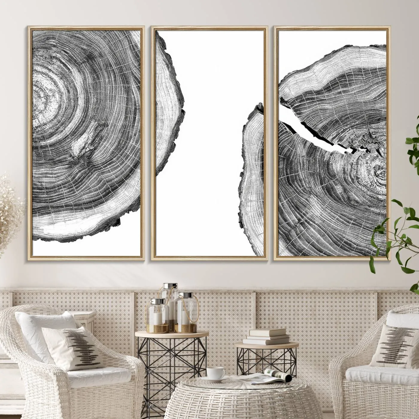 Abstract Large Tree Rings – Minimalist Black and White Wood Art | Triptych Canvas, Modern Wall Decor