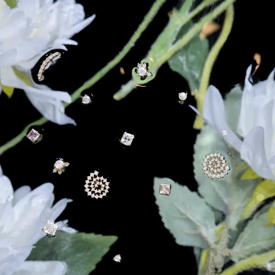 Ardor Earrings