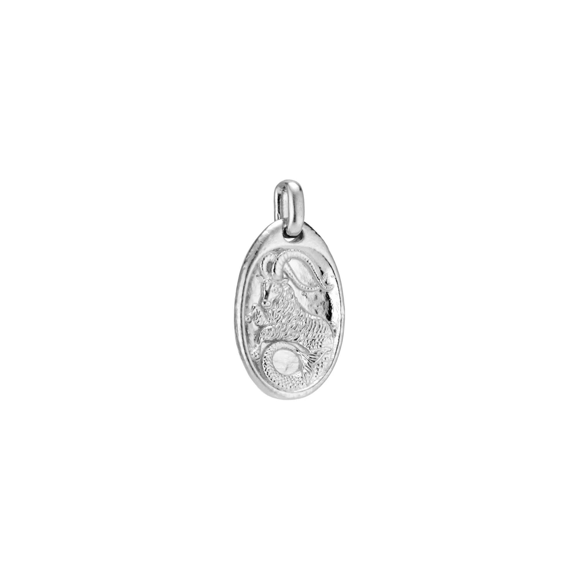 Capricorn Medallion