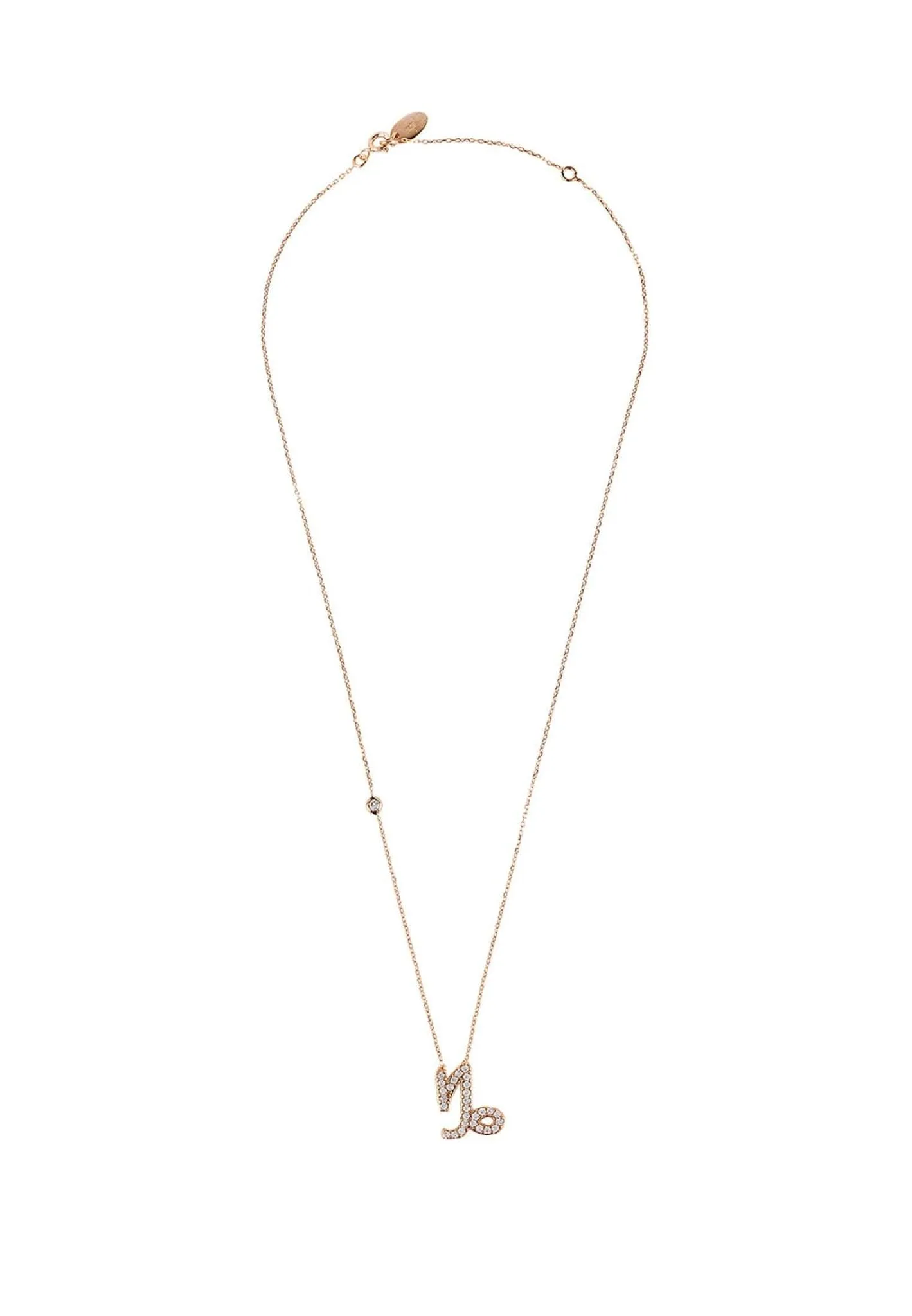 Capricorn Zodiac Necklace Dipped in Rose Gold and White Zircon