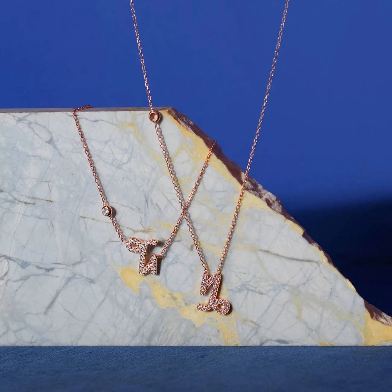 Capricorn Zodiac Necklace Dipped in Rose Gold and White Zircon