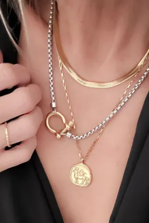 Carabiner Horse Bit Necklace: Two Tone