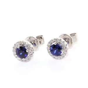 Ceylonese Sapphire Halo Studs