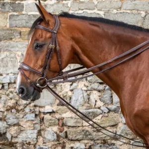 Dyon D Collection Leather and Nylon Horse Reins - 5/8 Inch